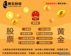 富国天润回报混合C